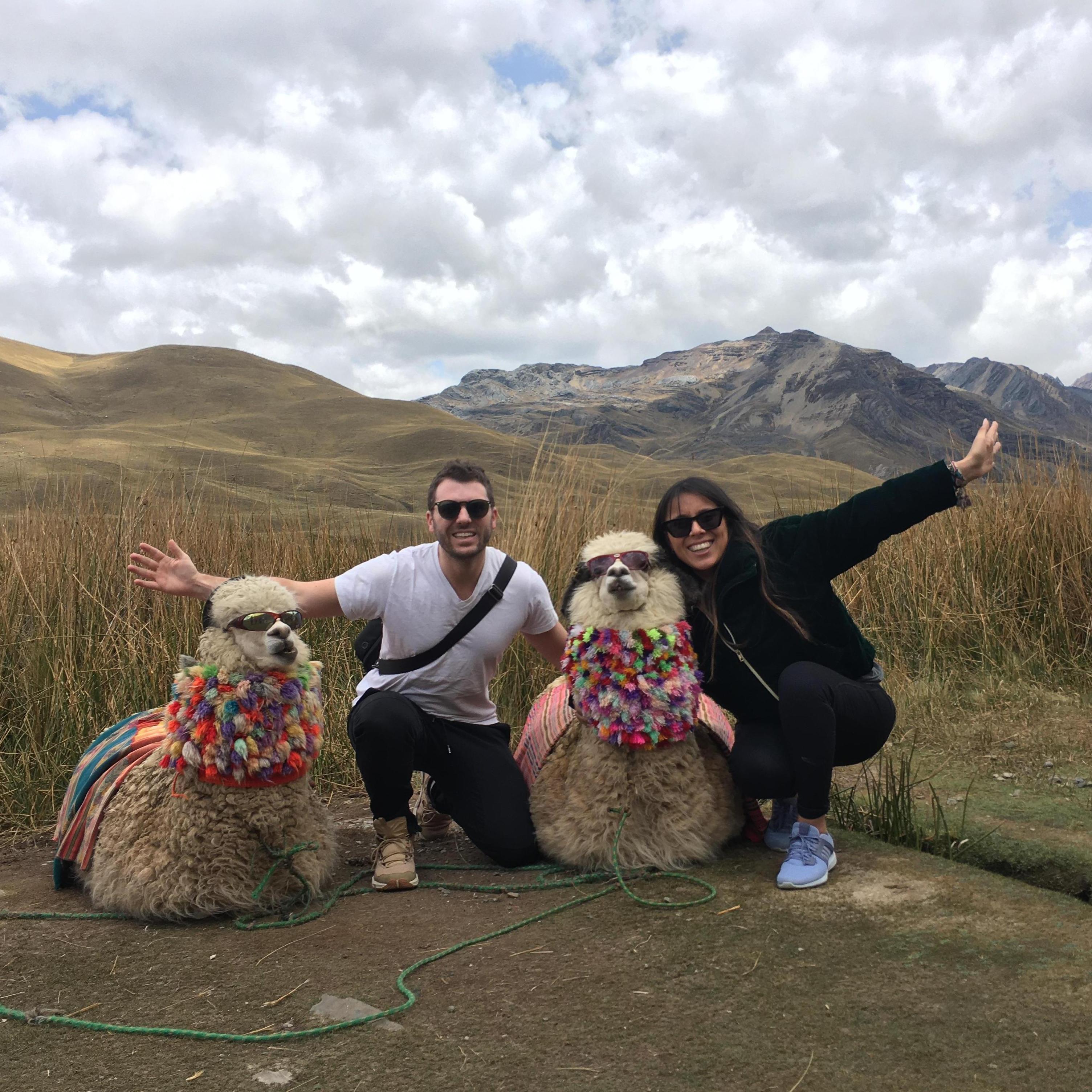 When we met the coolest llamas!