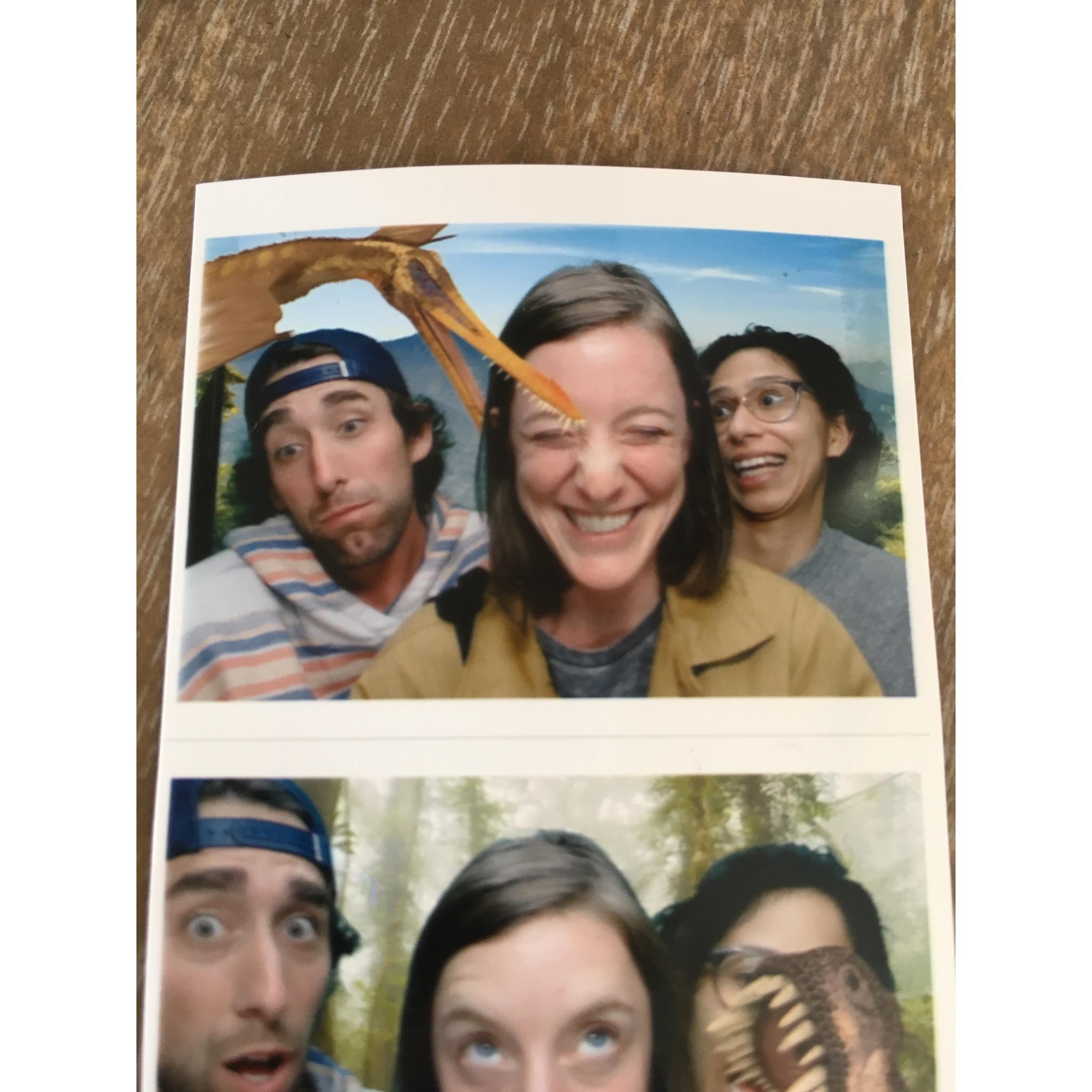 watch out for dinosaurs