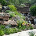 Betty Ford Alpine Gardens