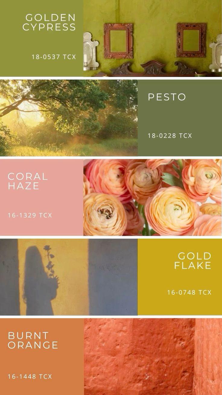 The Wedding Website of Coco De Leo and Tolu Makinde