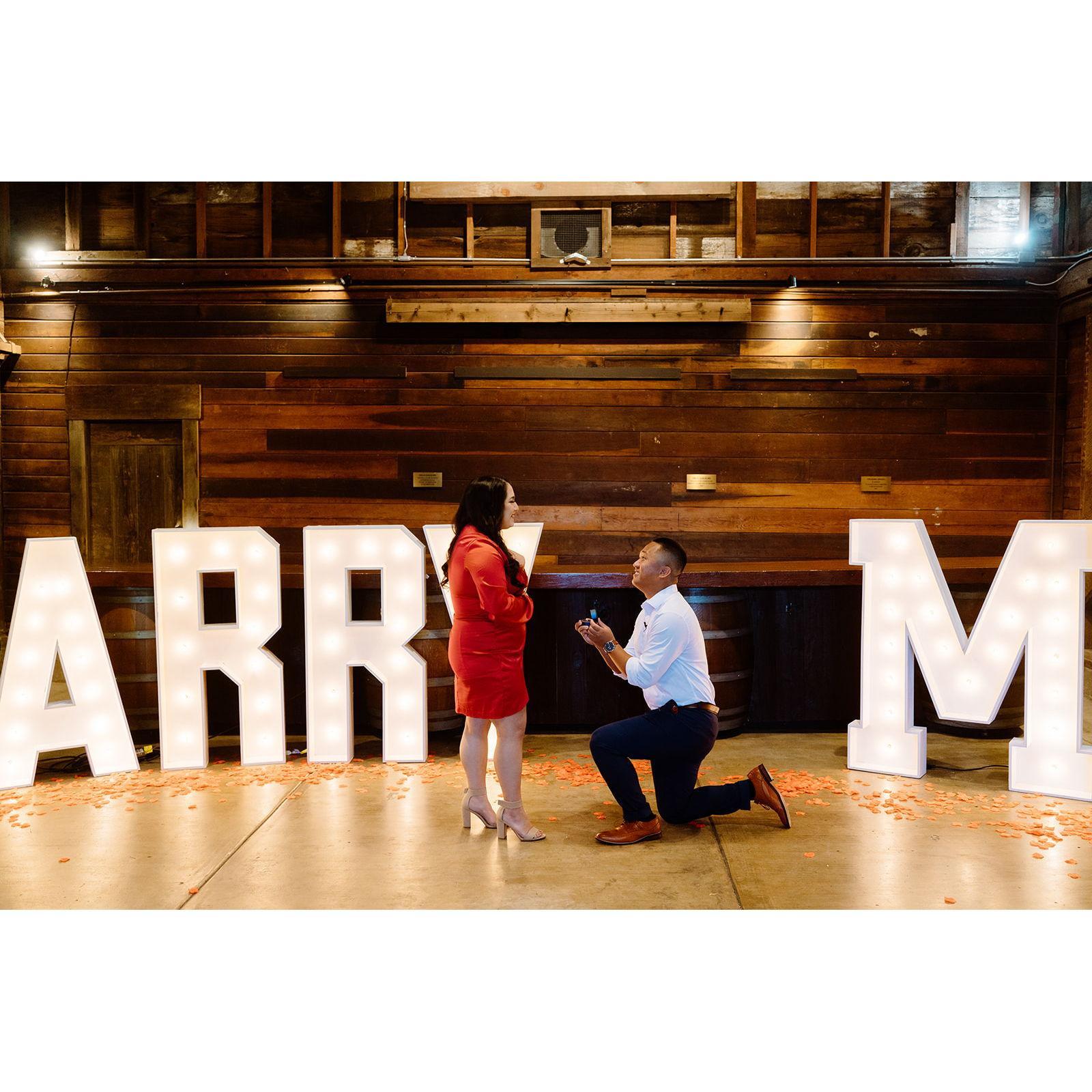 The moment Albert went down on his knee and asked Diane to marry him!