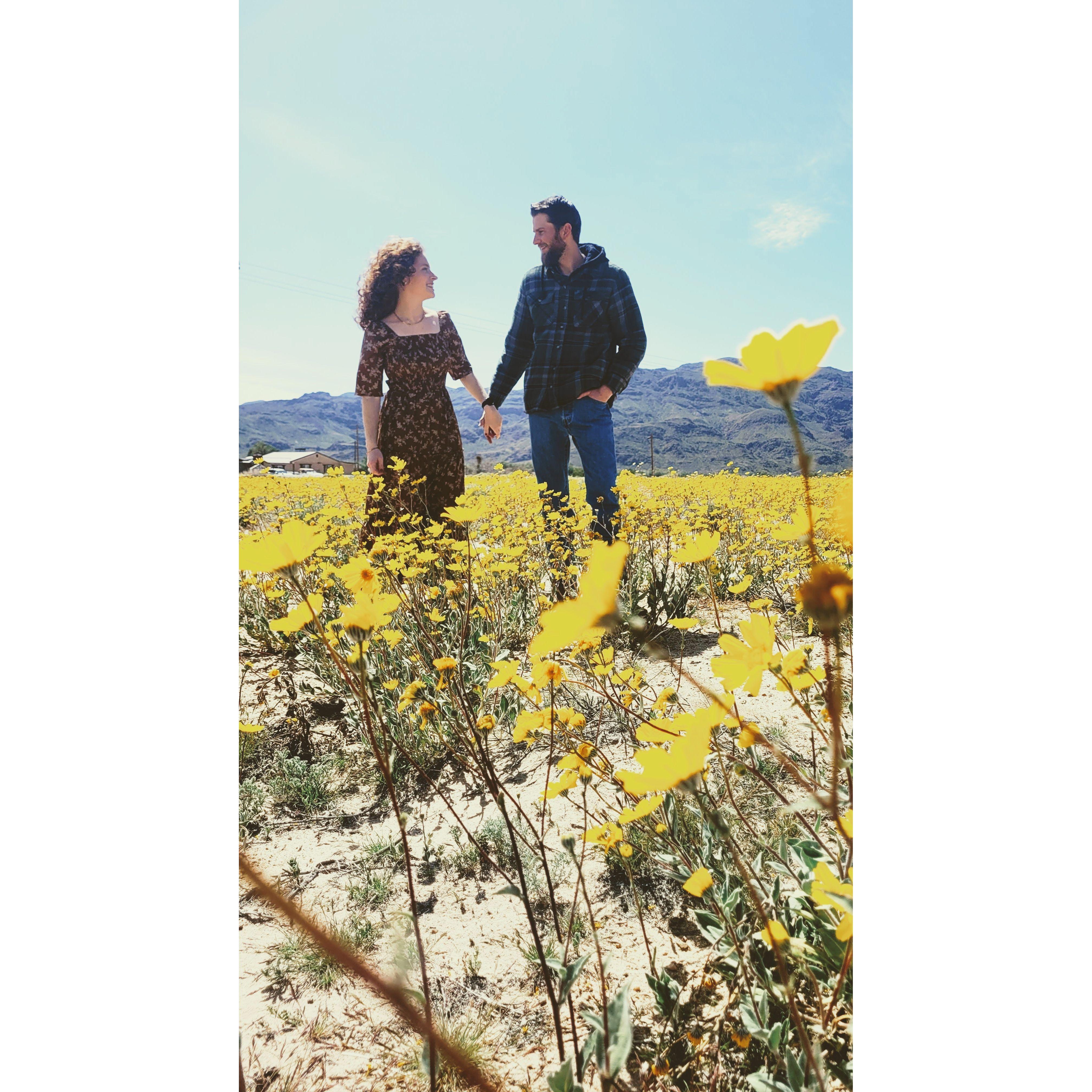 Young and in love/ Spring of 2024