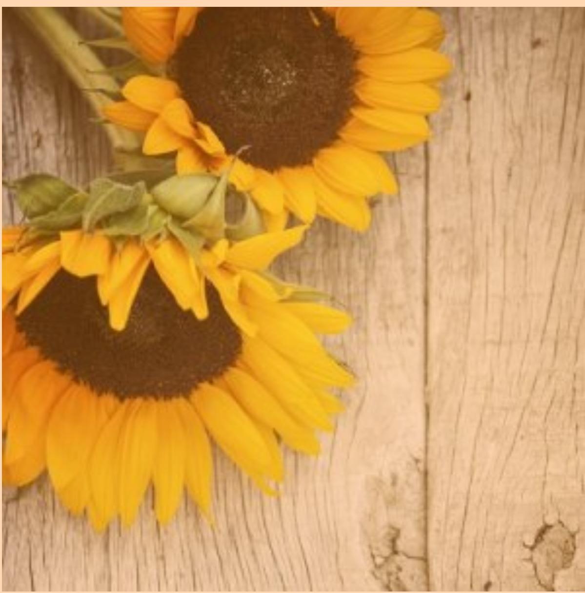 The Wedding Website of Nicole Dutcher and Dennis Copp II