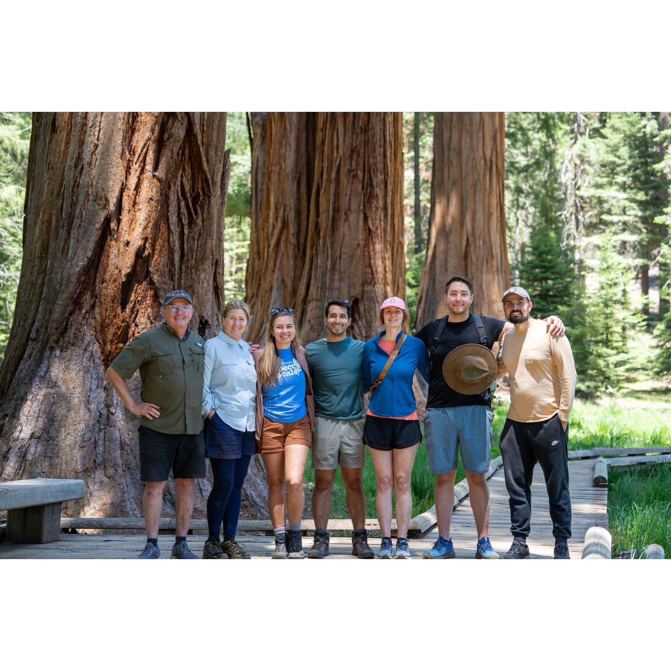 Hiking around the giant trees of Yosemite with Kate's family