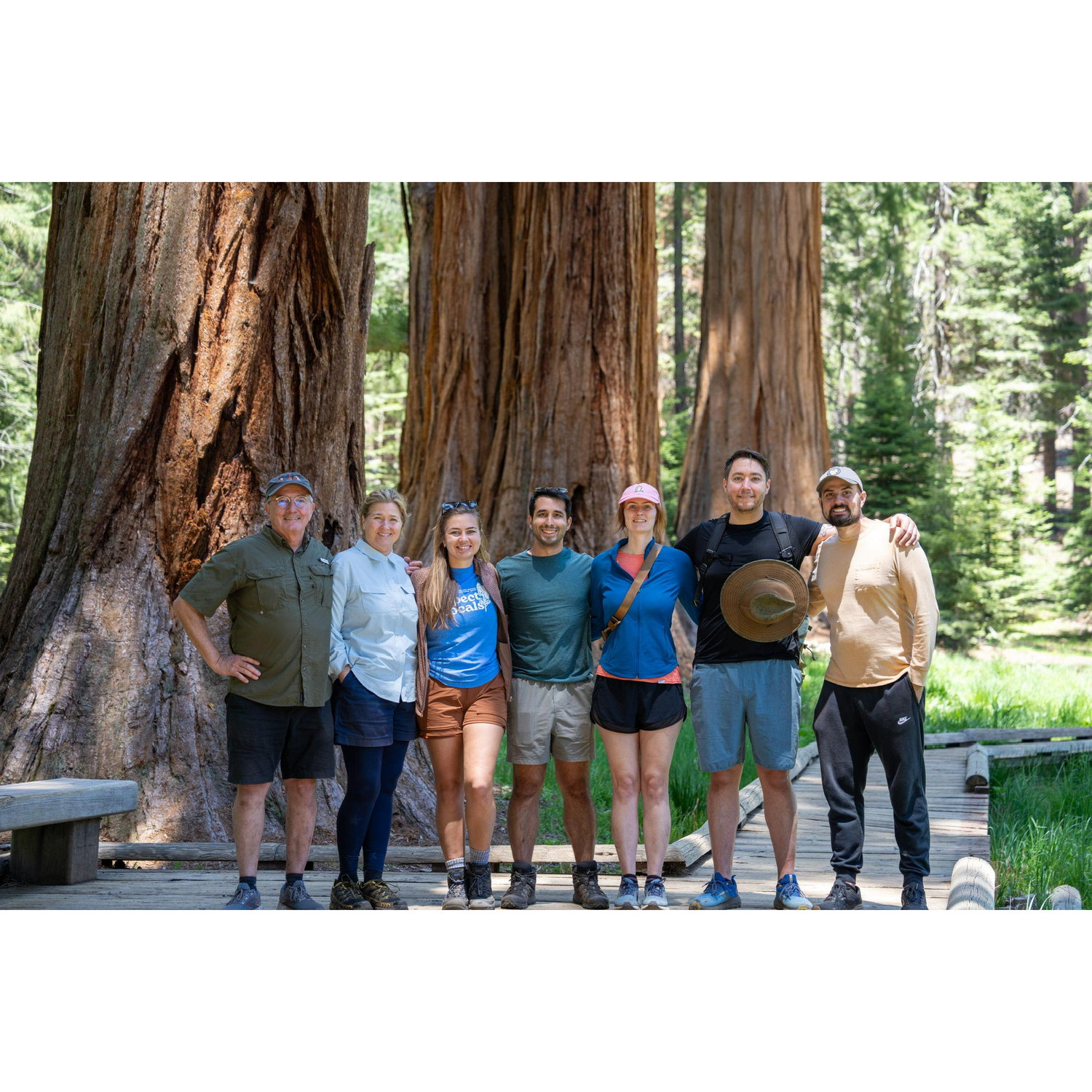 Hiking around the giant trees of Yosemite with Kate's family