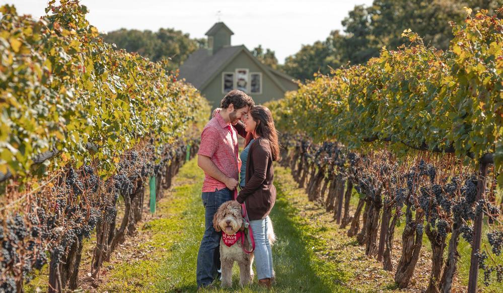 The Wedding Website of Matthew Mazzucco and Nicole Brasil Becker