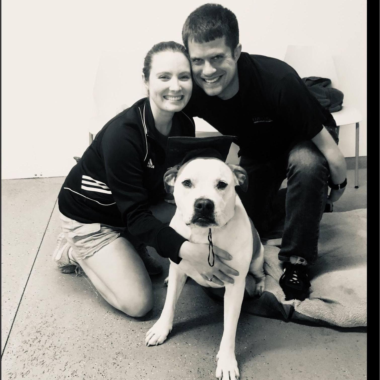 Pet spotlight: Matt's dog's name is Hercules. He is 90lbs of lap dog love and is a big part of what kept Katie coming back to the game nights Matt hosted in 2017 & 2018. Herc is a pitbull mastiff mix.