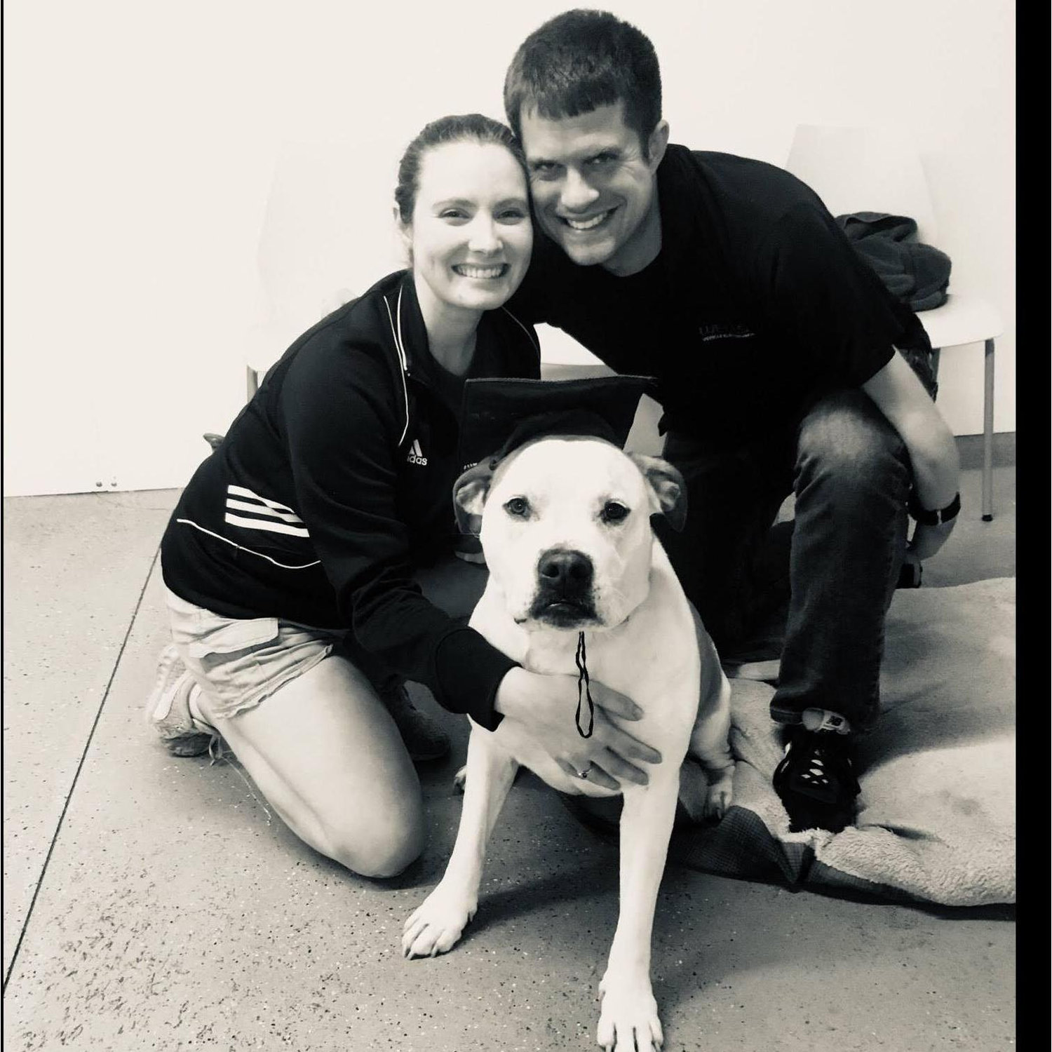 Pet spotlight: Matt's dog's name is Hercules. He is 90lbs of lap dog love and is a big part of what kept Katie coming back to the game nights Matt hosted in 2017 & 2018. Herc is a pitbull mastiff mix.