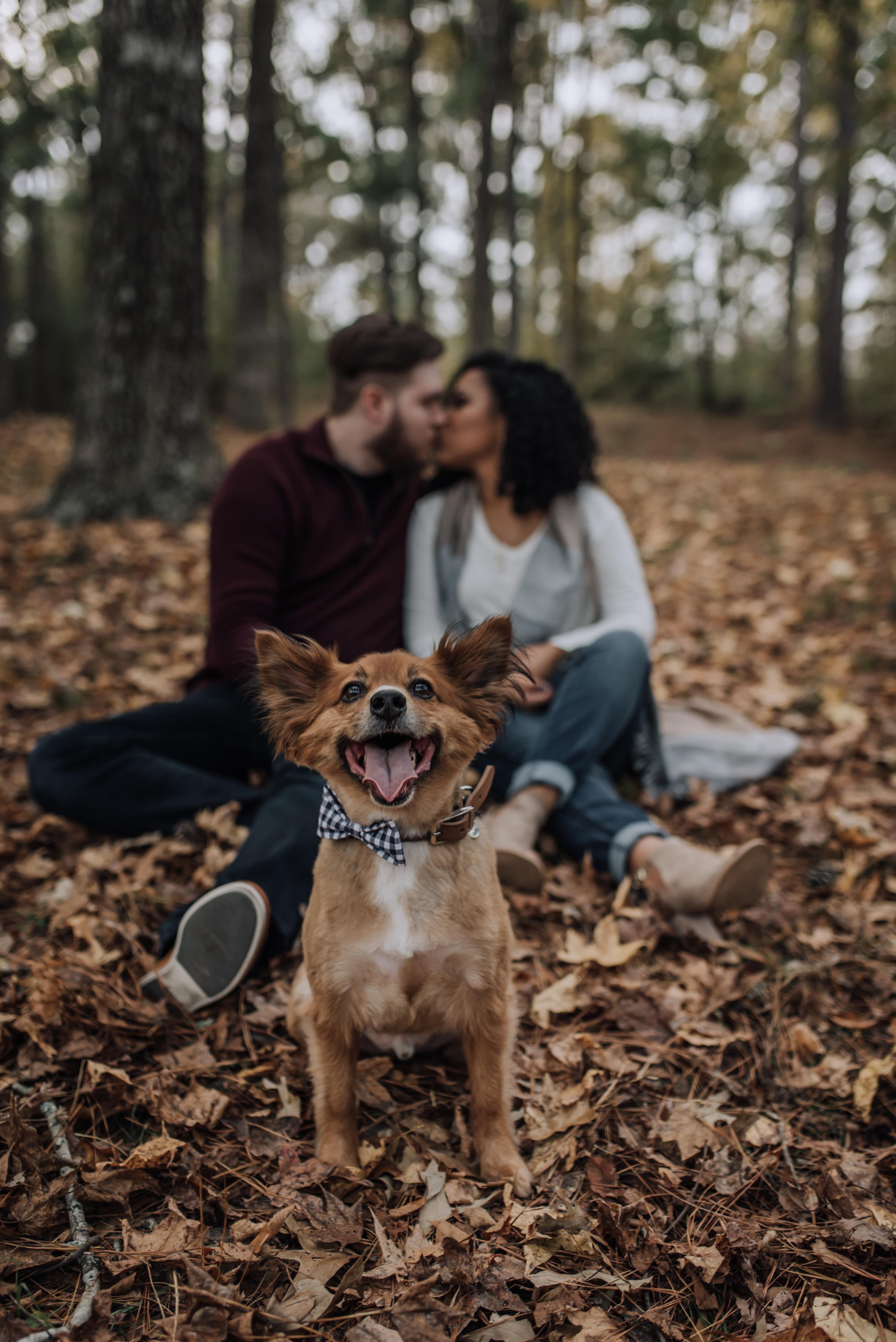The Wedding Website of Samantha Stelly and Frank Powell