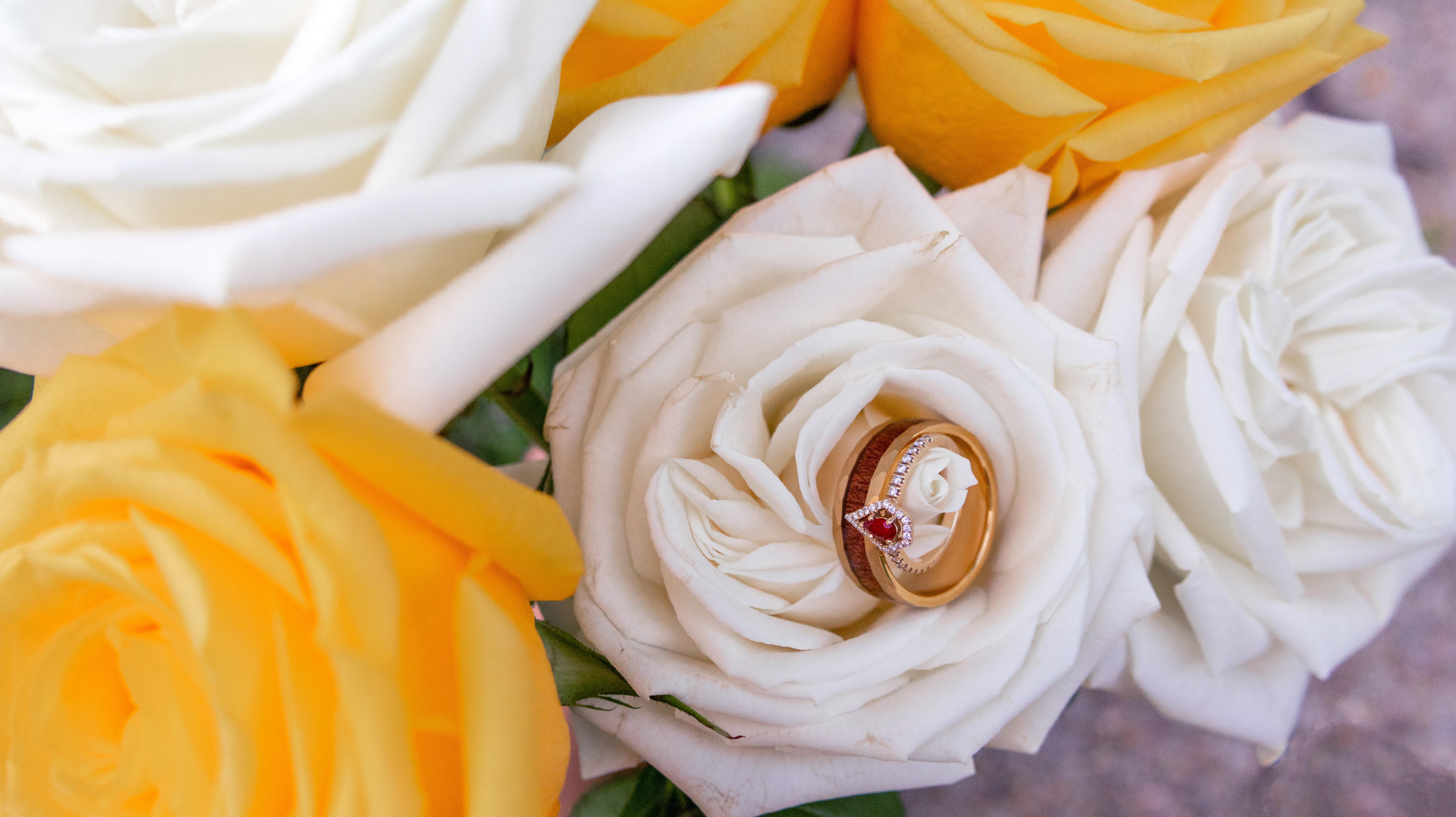 The Wedding Website of Mary Maraist and Jon Vlach