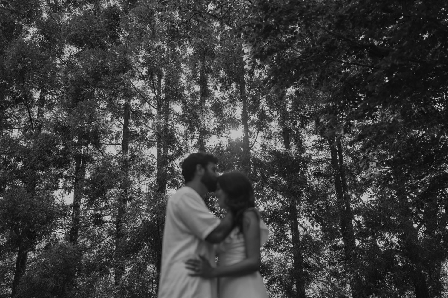 The Wedding Website of Lauryn O`Keefe and Matthew Scolaro