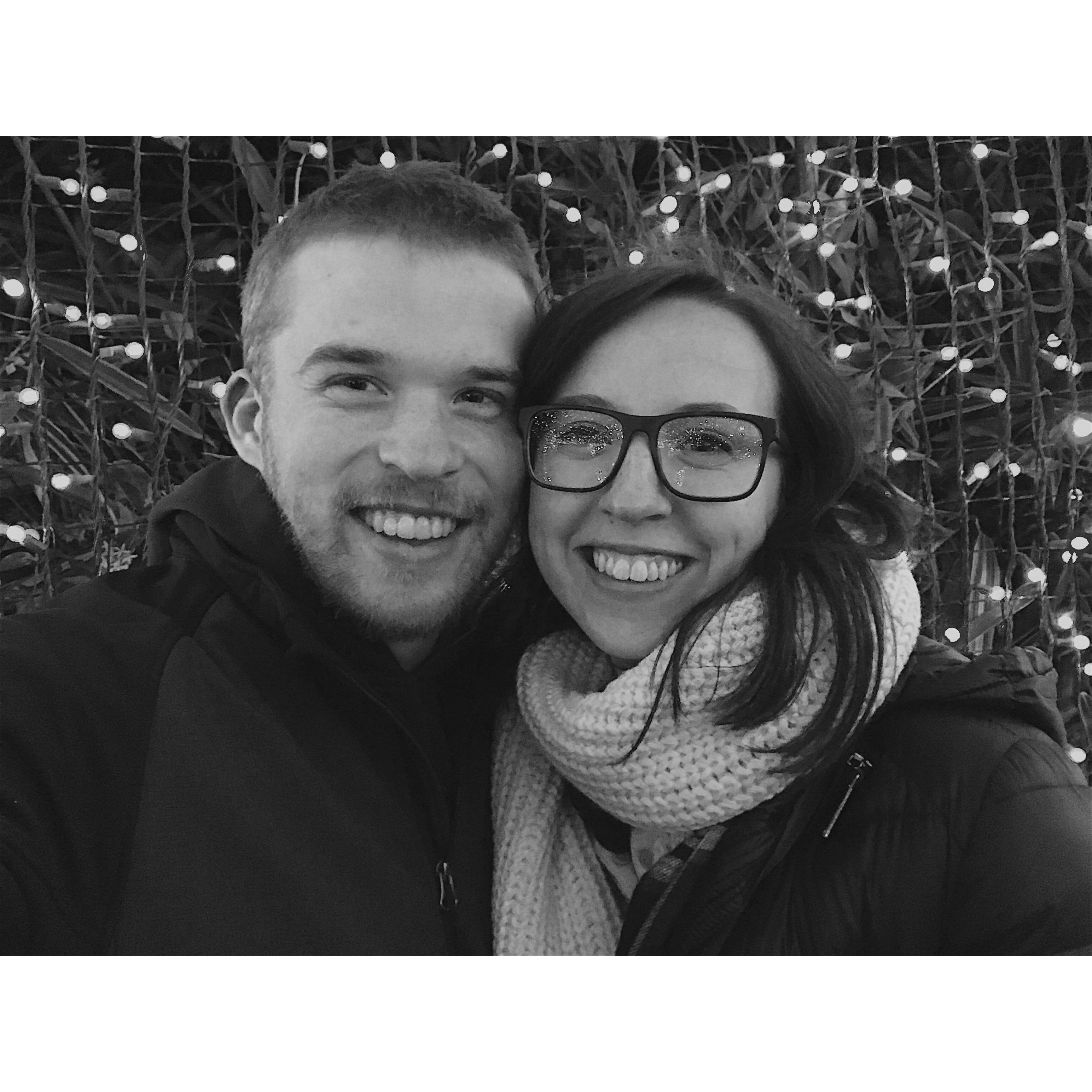Zoo Lights 2017