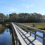 Spruce CREEK PRESERVE / Doris LEEPER