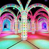 The Amazing Mirror Maze