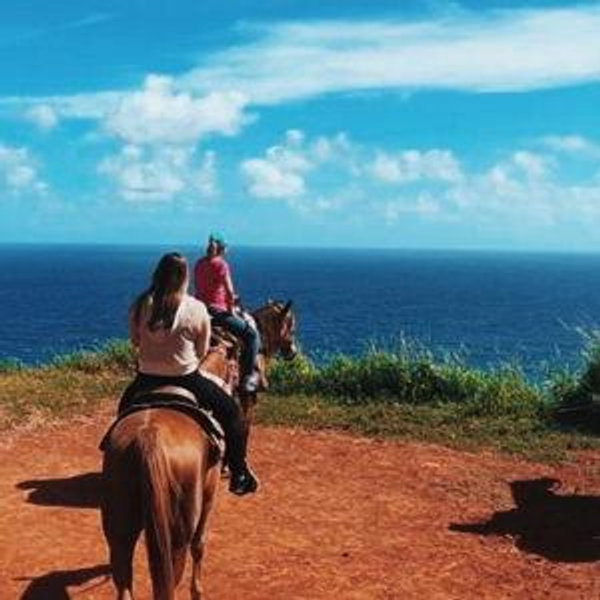 Maui Horseback Adventure at Circle M Ranch