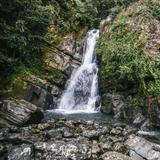 El Yunque National Forest