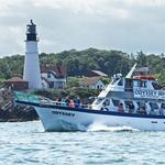 Odyssey Whale Watch