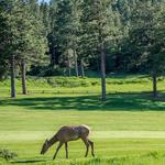 Evergreen Golf Course