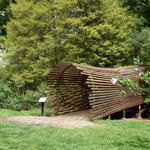 Tyler Arboretum