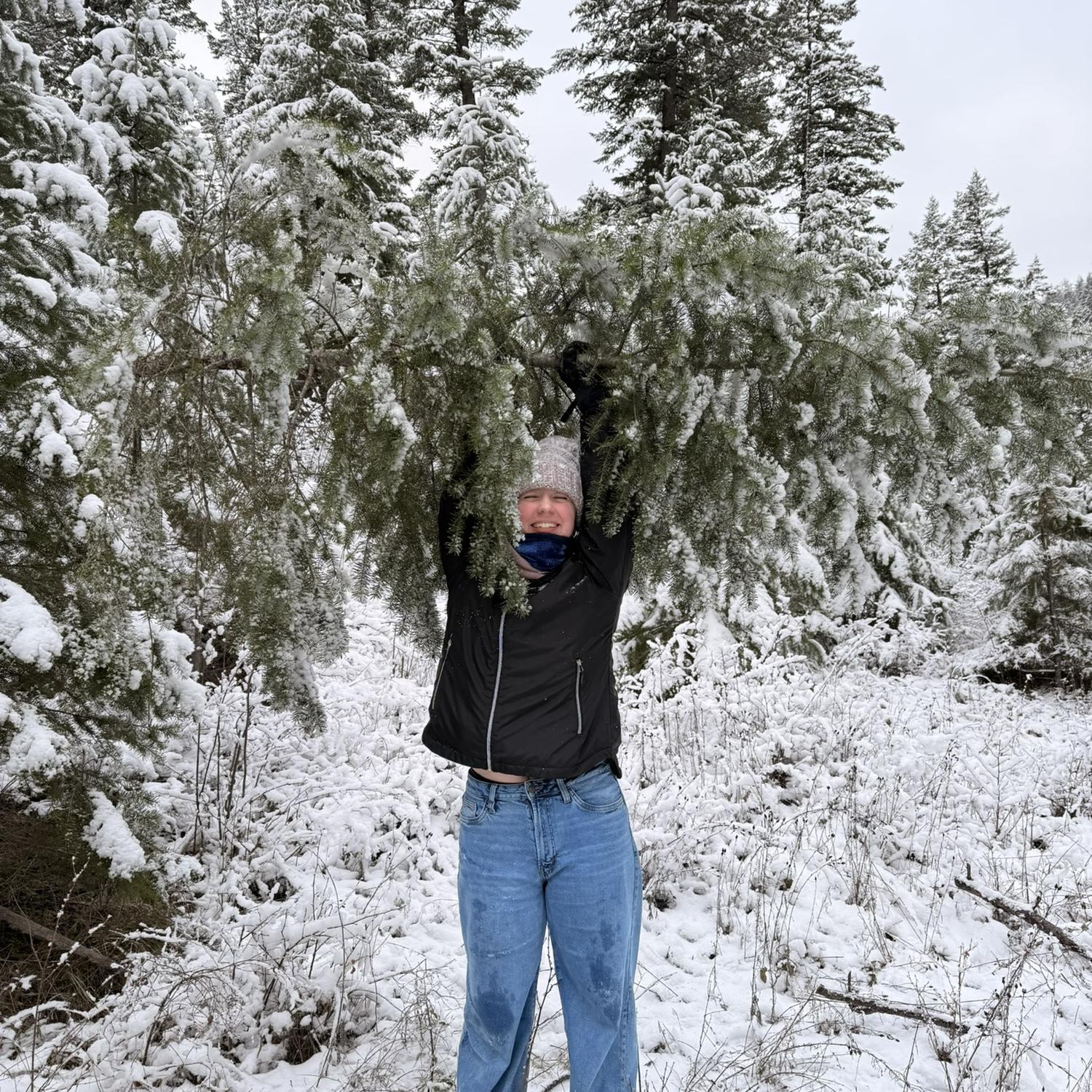 Christmas tree hunting