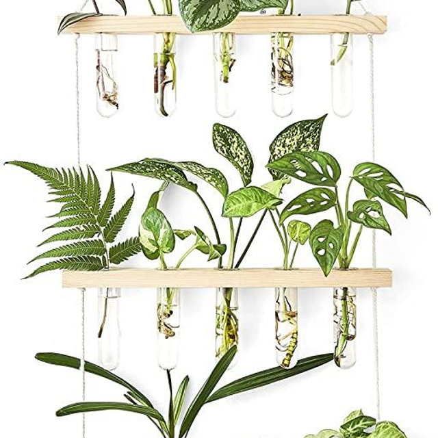 Mkono Plant Propagation Tubes, 3 Tiered Wall Hanging Plant Terrarium with Wooden Stand Mini Test Tube Flower Vase Glass Planter for Hydroponic Plant Cutting Home Garden Office Decor Plant Lover Gift
