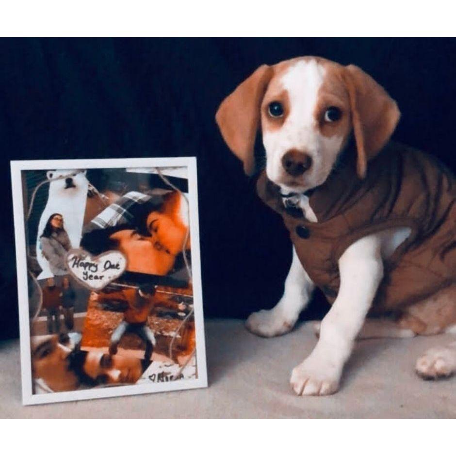 Baby Bagel in a photoshoot