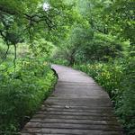 Lord Stirling Park Environmental Education Center