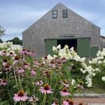 Toddy Pond Farm