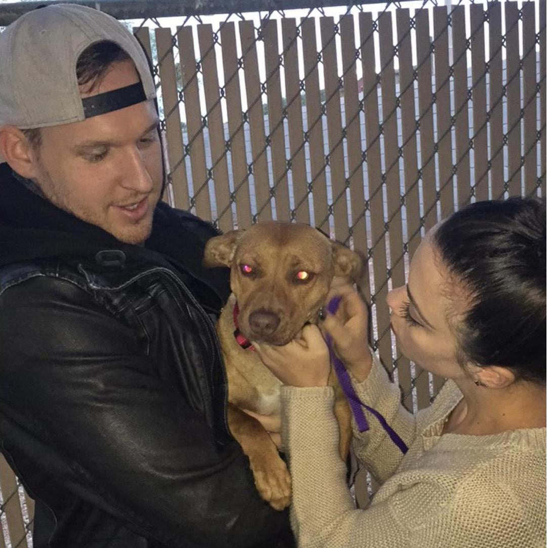 That time the third wheel decided to stay furever