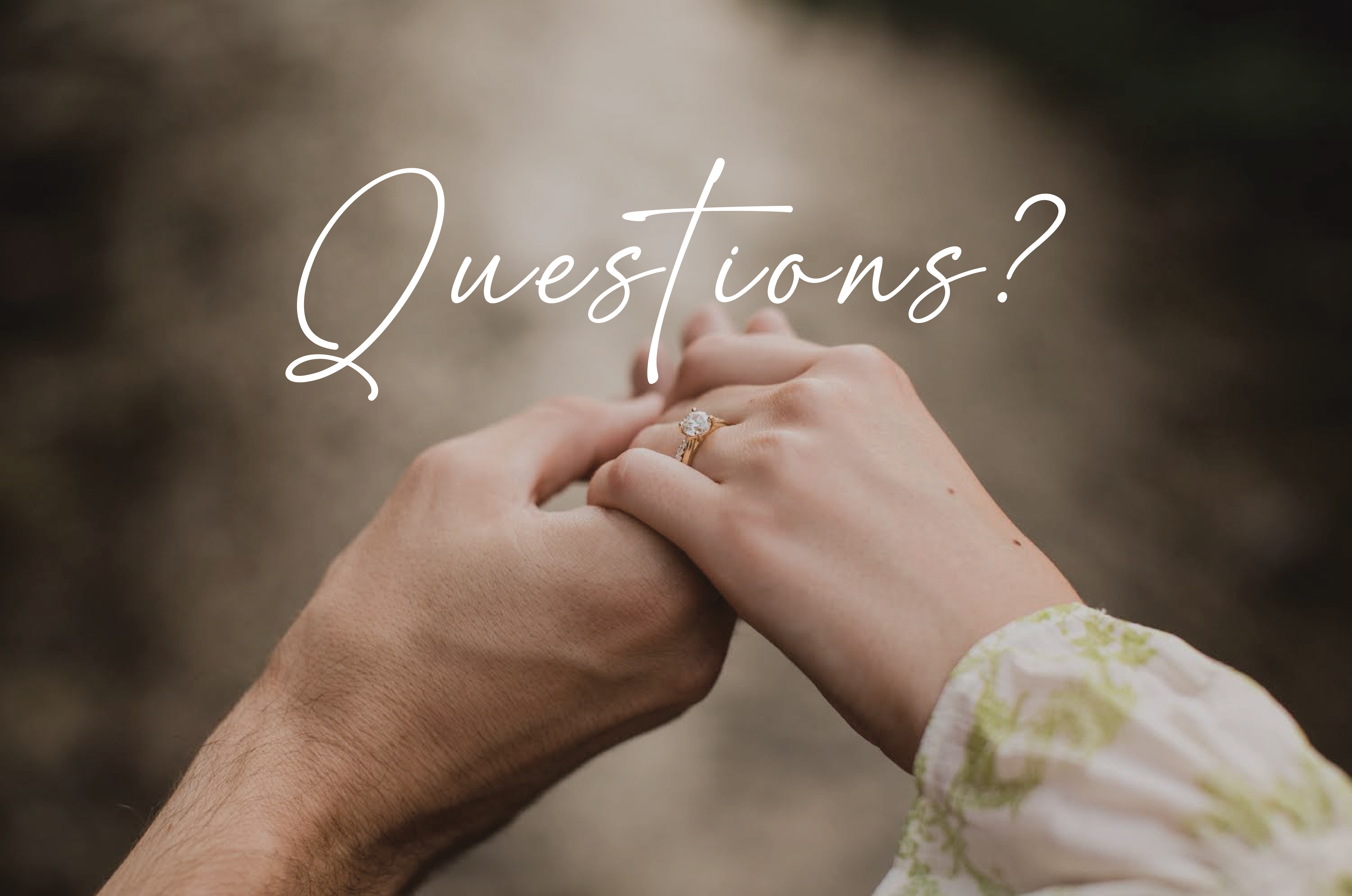 The Wedding Website of Michael Geraci and Gabby Brookes