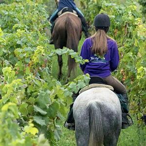 Horseback Riding on Mt. Etna