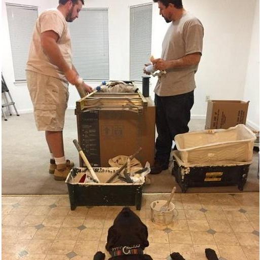 DIY Or DIE: Part 1, Bare bones. 2017.