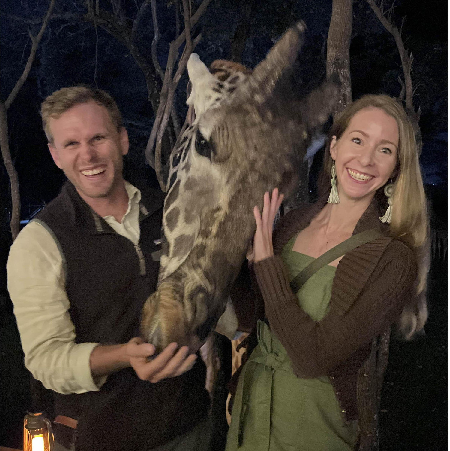 A night at the giraffe manor.