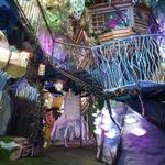 Meow Wolf