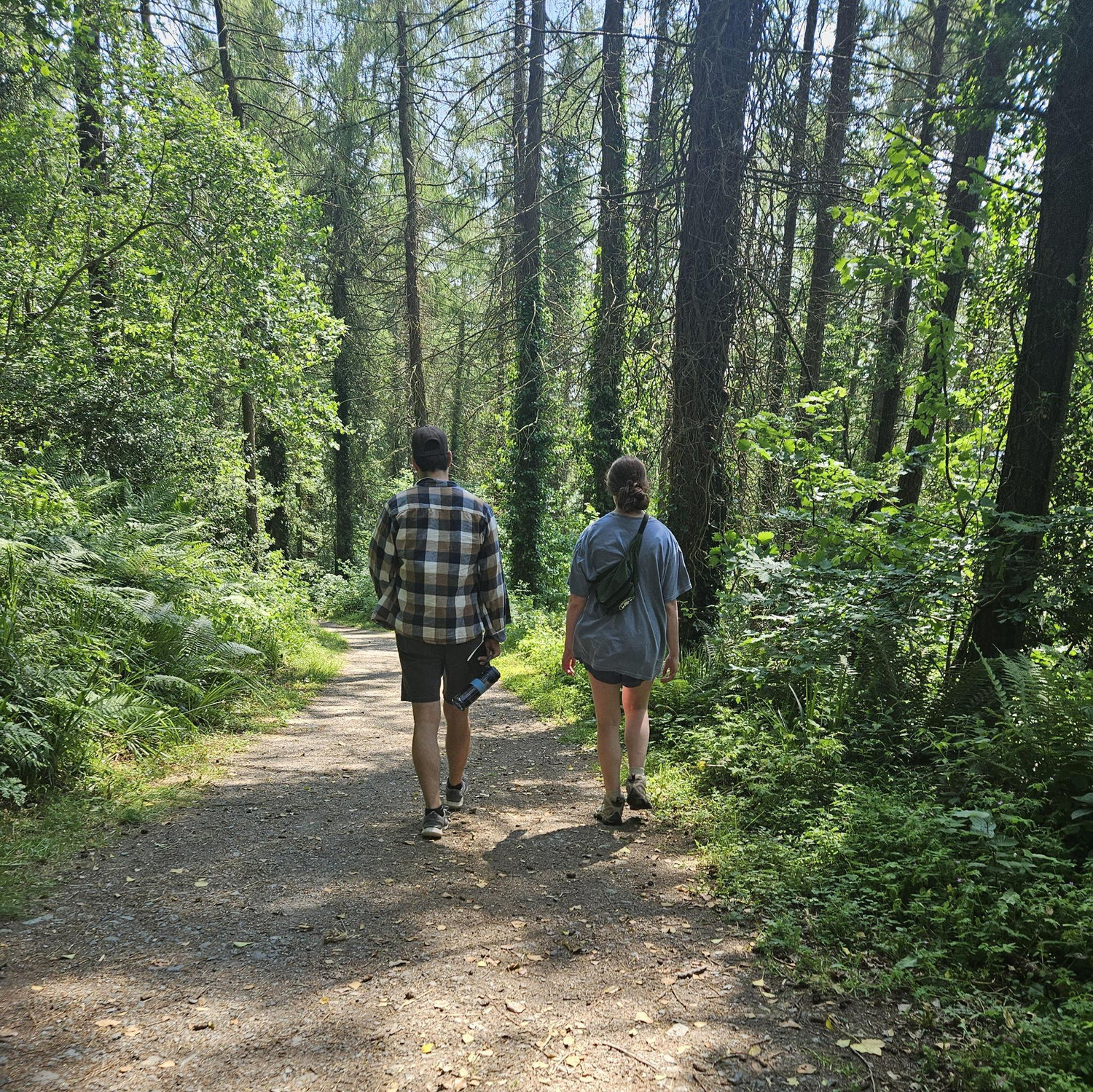 Walking in the forest that inspired Narnia while Christian told me history about a war I can't recall because I was trying to act like I wasn't out of breath.