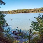 Latta Nature Preserve Waterfront