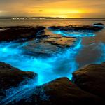 La Parguera Bioluminescent Bay