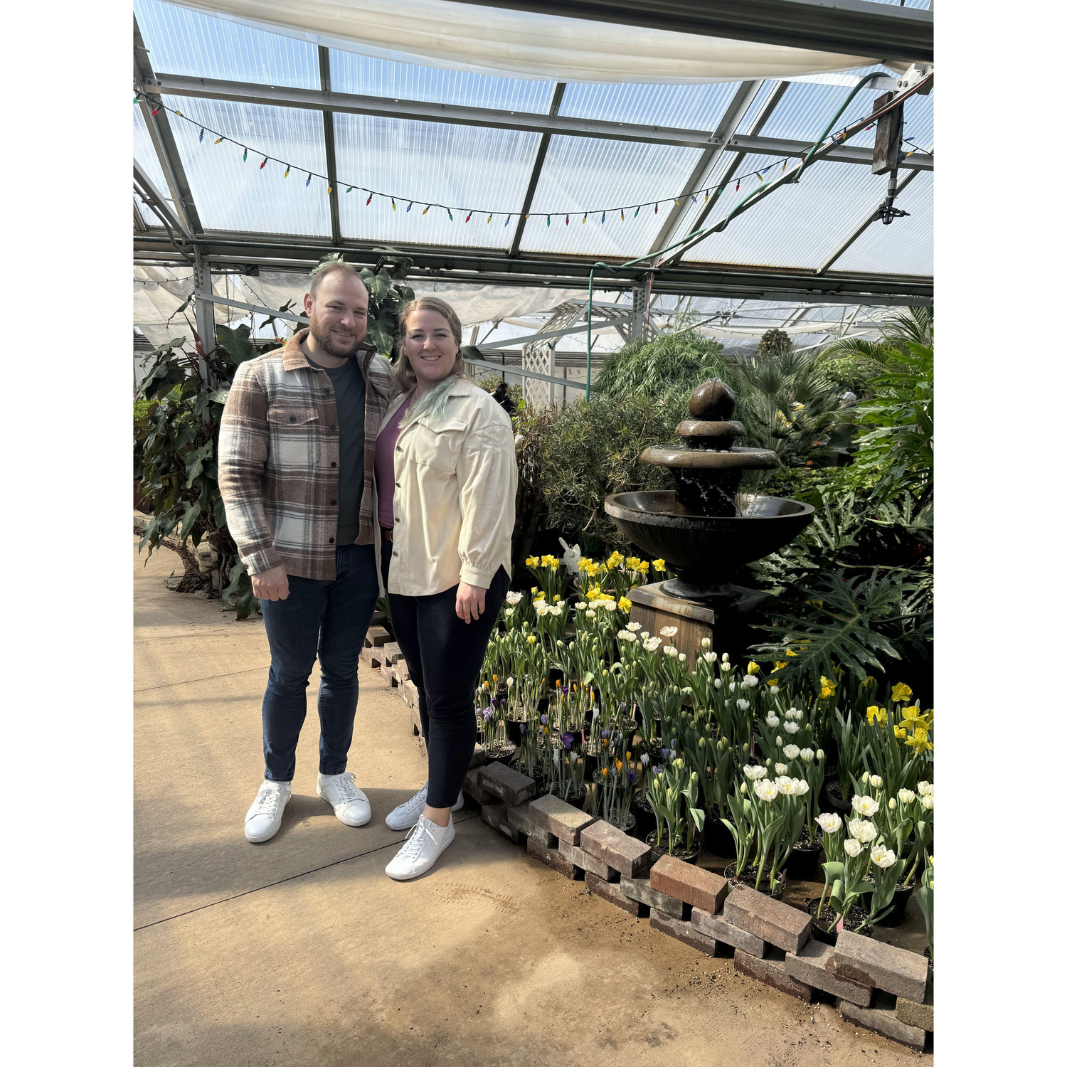 Noelridge park greenhouse