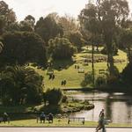 Golden Gate Park