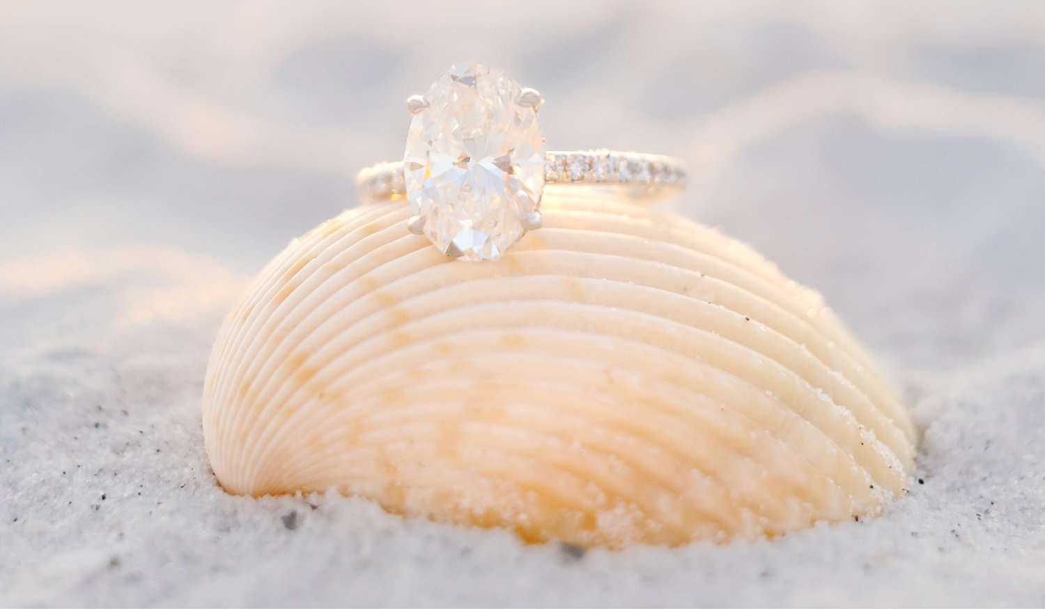 The Wedding Website of Brittany Masterson and Brian Rudolph
