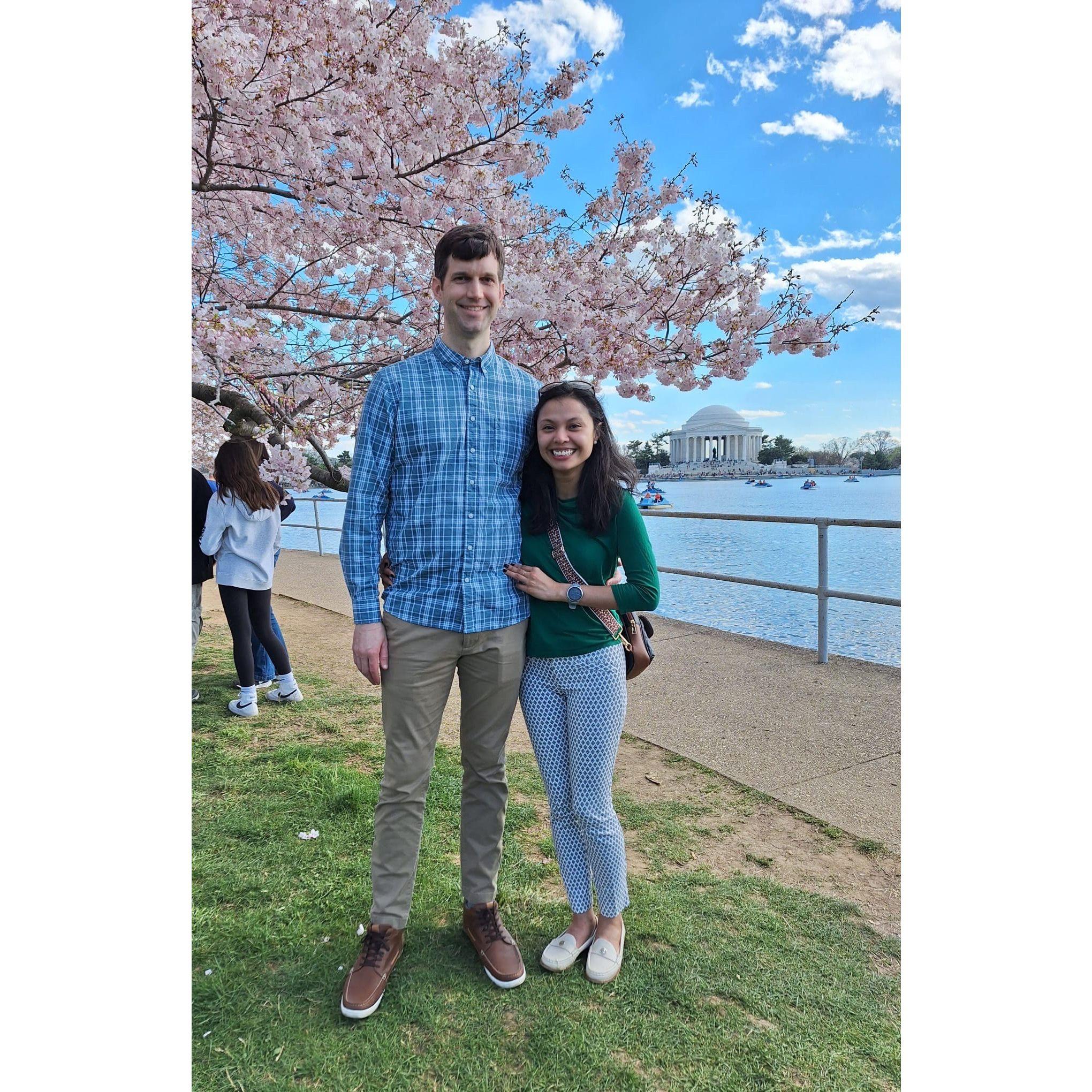 Yep, Cherry Blossoms, we had to.