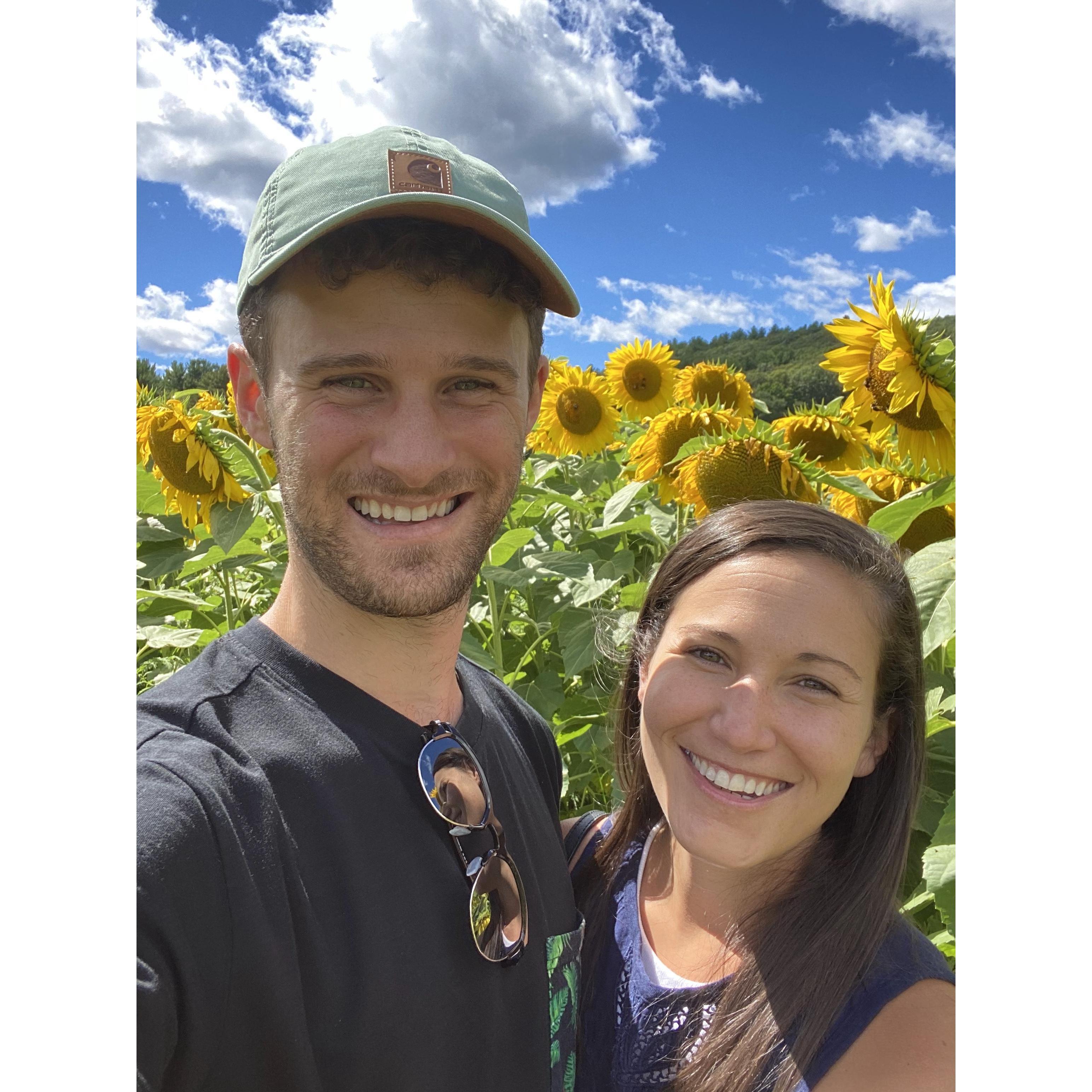 Checking the sunflower farm off of the bucket list!