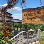 Grandview Vineyard