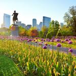 Boston