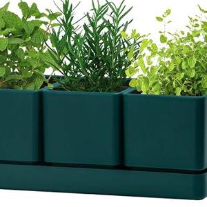 Herb Garden Planter Set