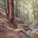 Henry Cowell Redwoods State Park