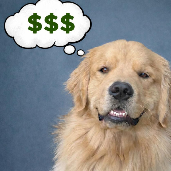 Cash fund