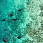 Friday 8th March 07:30-16:30