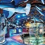 Wonders Of Wildlife National Museum & Aquarium