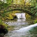 Whatcom Falls Park